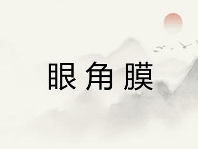 眼角膜