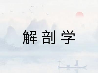 解剖学