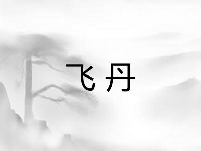 飞丹