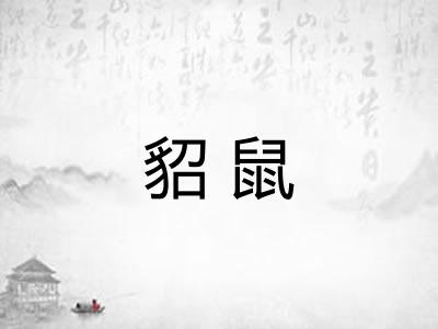貂鼠