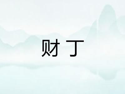 财丁