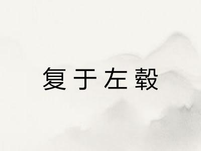 复于左毂
