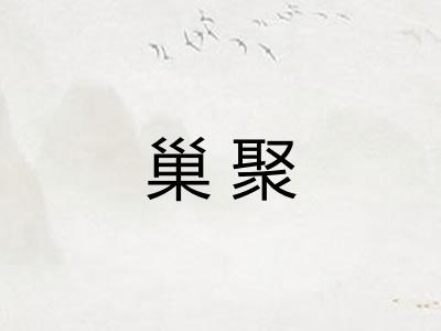巢聚
