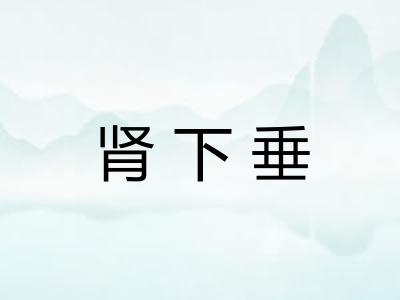 肾下垂