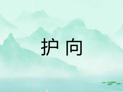 护向