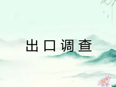 出口调查