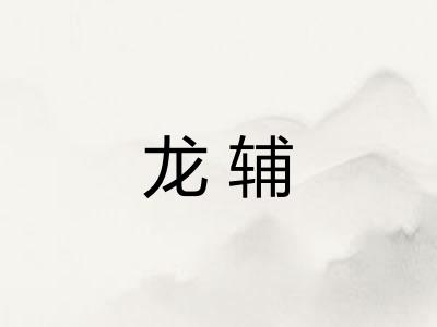 龙辅