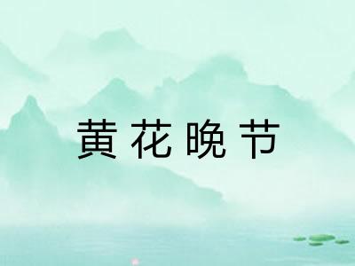 黄花晚节