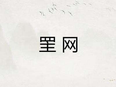 罜网