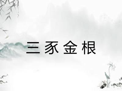 三豕金根