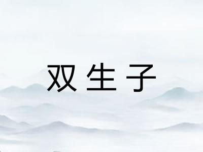 双生子