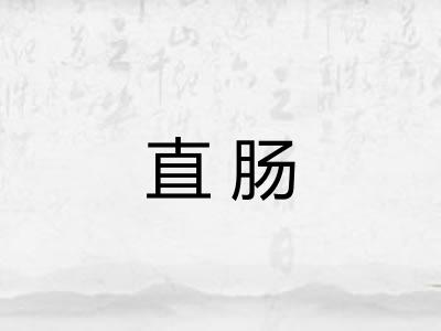 直肠