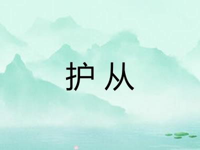 护从