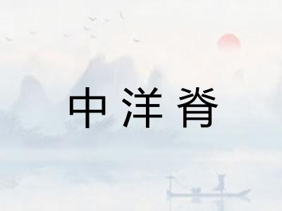 中洋脊