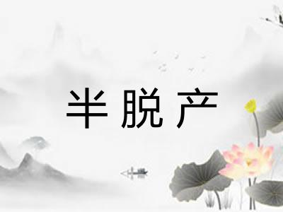 半脱产