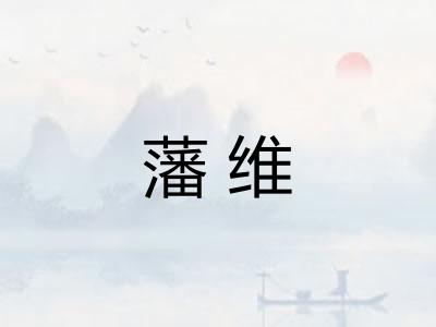 藩维