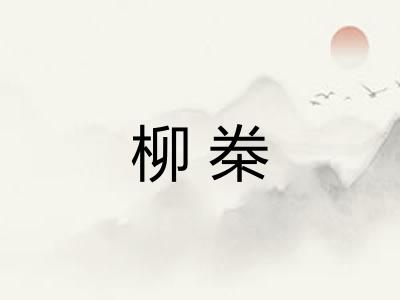 柳桊