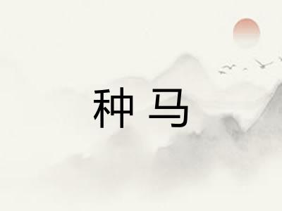 种马