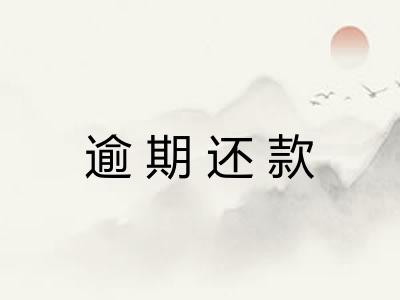 逾期还款