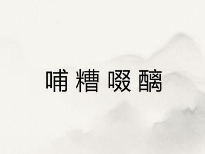 哺糟啜醨