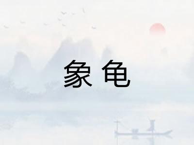 象龟