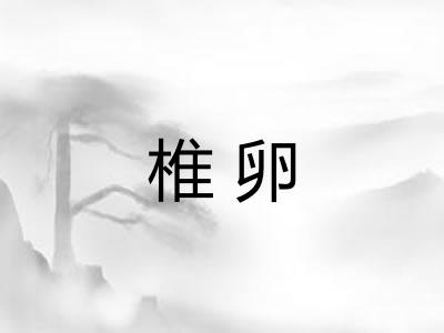 椎卵