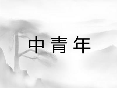 中青年