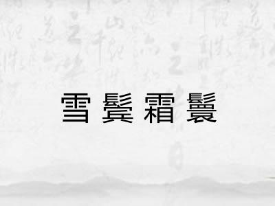 雪鬓霜鬟