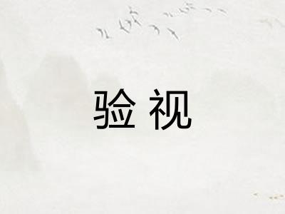 验视