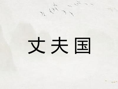 丈夫国