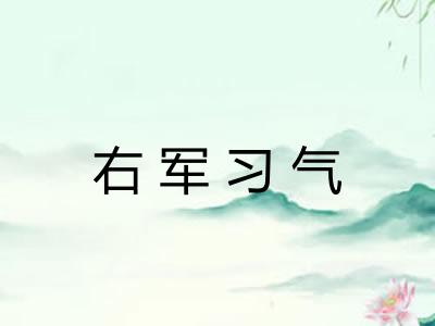 右军习气