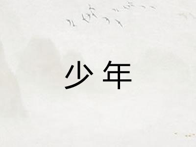 少年