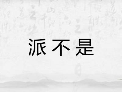 派不是