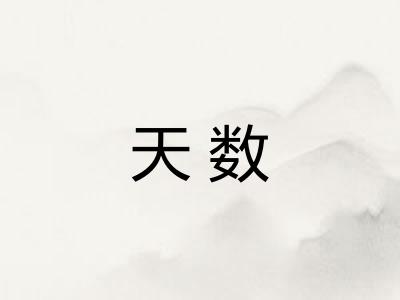 天数