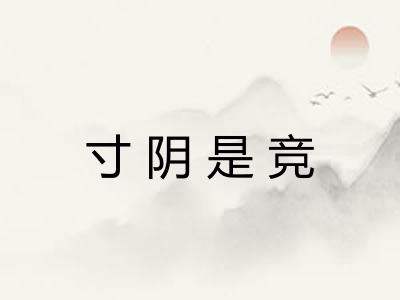 寸阴是竞
