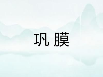 巩膜