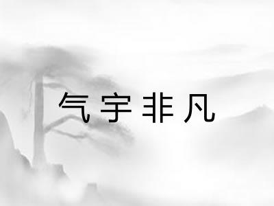 气宇非凡