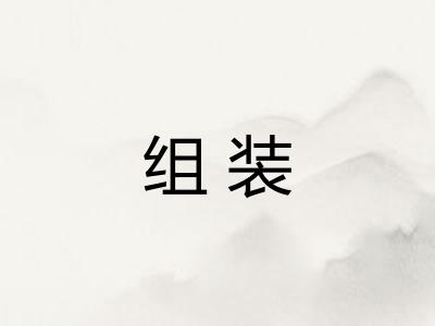 组装