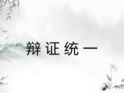 辩证统一