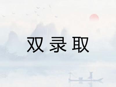 双录取