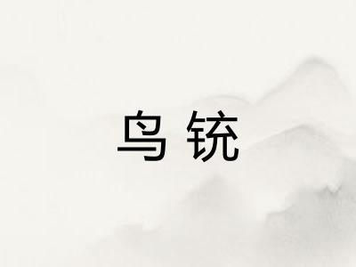 鸟铳