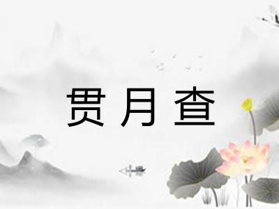贯月查