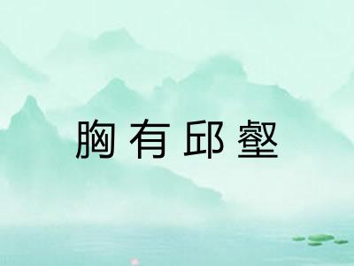 胸有邱壑