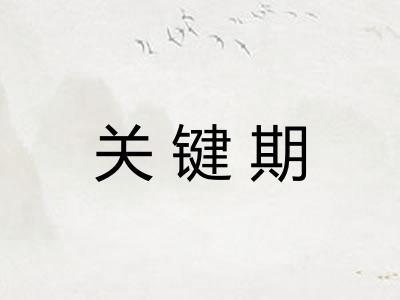 关键期