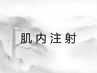 肌内注射