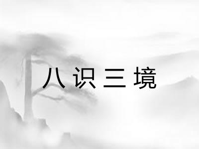 八识三境