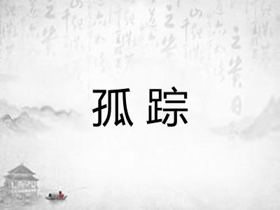 孤踪