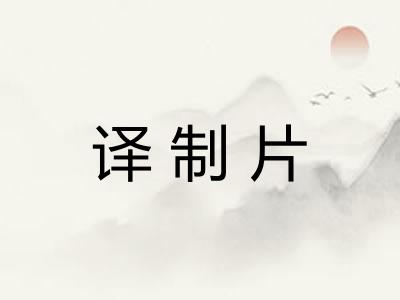 译制片