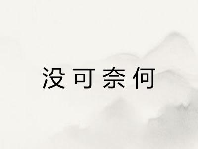 没可奈何