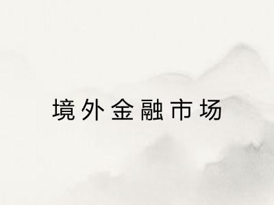 境外金融市场